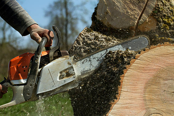 Mulching Services in Wright, WY